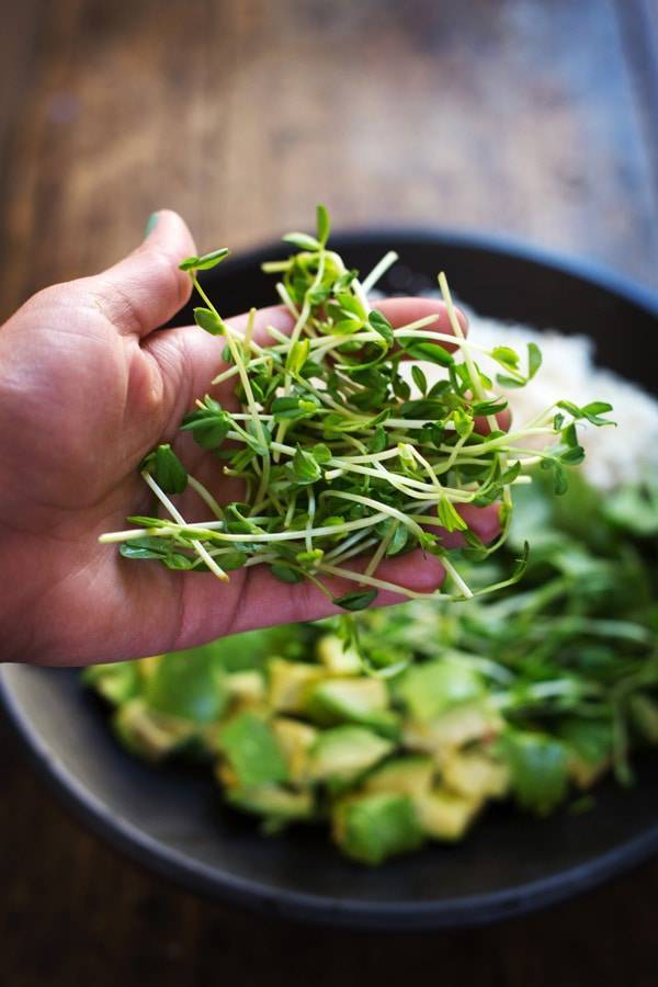 Sprouts on a hand.